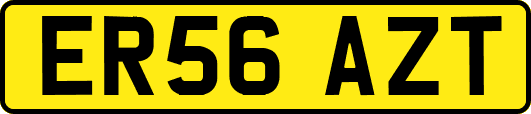 ER56AZT