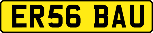 ER56BAU
