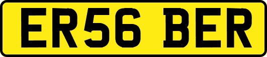 ER56BER