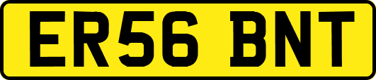 ER56BNT