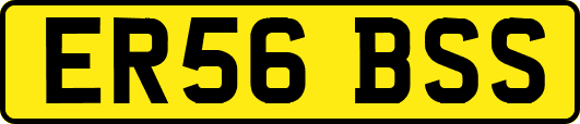 ER56BSS