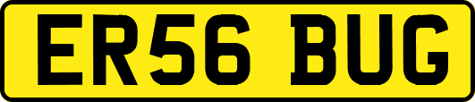 ER56BUG