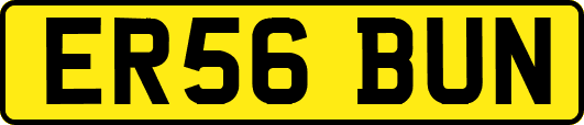 ER56BUN