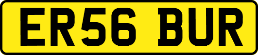 ER56BUR