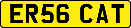 ER56CAT