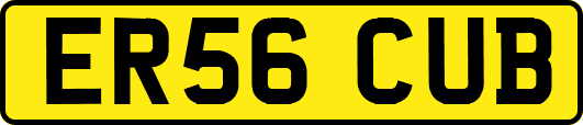 ER56CUB