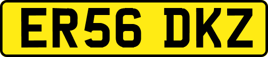 ER56DKZ
