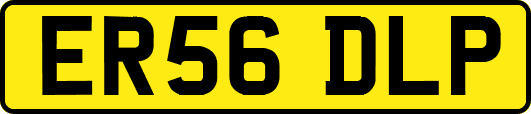 ER56DLP