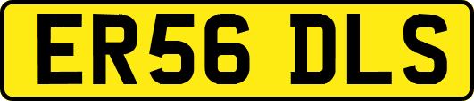 ER56DLS