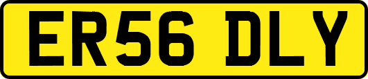 ER56DLY