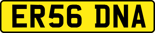 ER56DNA