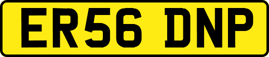 ER56DNP