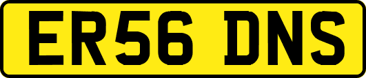 ER56DNS