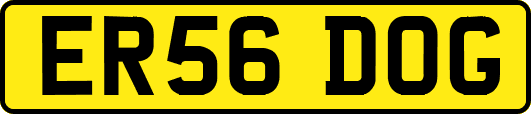 ER56DOG