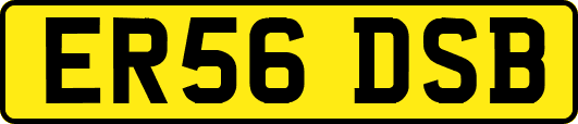 ER56DSB