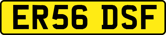 ER56DSF