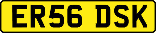 ER56DSK