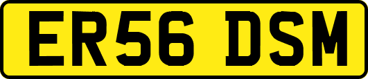 ER56DSM