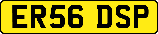 ER56DSP