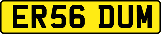 ER56DUM