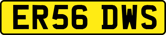 ER56DWS