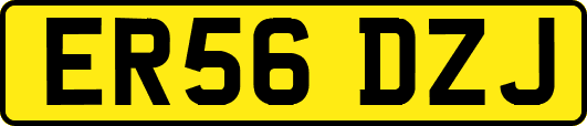 ER56DZJ