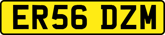 ER56DZM