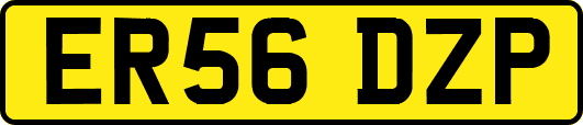 ER56DZP