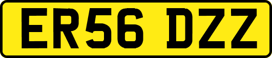 ER56DZZ