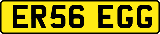 ER56EGG