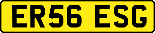 ER56ESG
