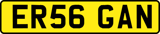 ER56GAN