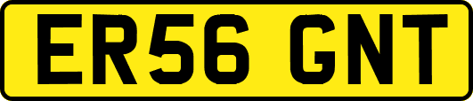 ER56GNT