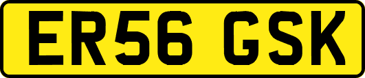 ER56GSK