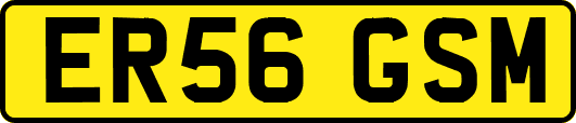 ER56GSM