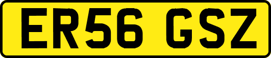 ER56GSZ