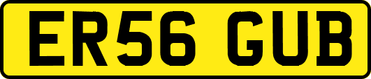 ER56GUB