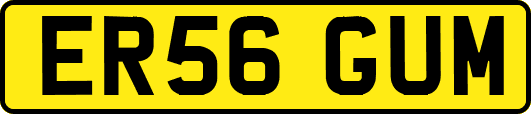 ER56GUM