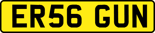 ER56GUN