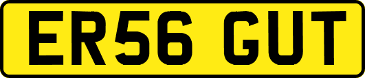 ER56GUT