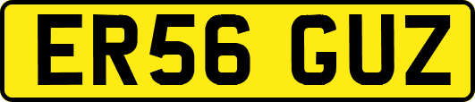 ER56GUZ
