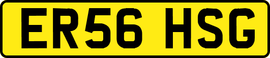 ER56HSG