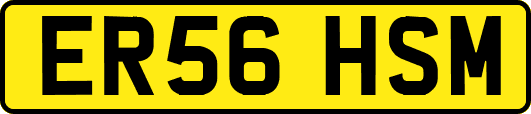 ER56HSM
