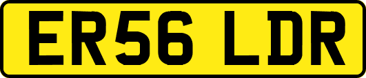 ER56LDR