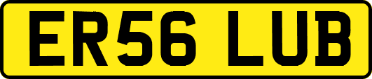ER56LUB