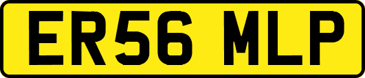 ER56MLP