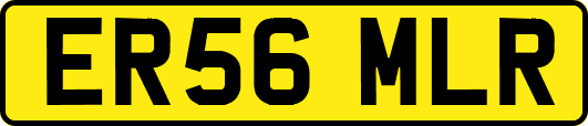 ER56MLR