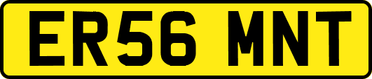 ER56MNT