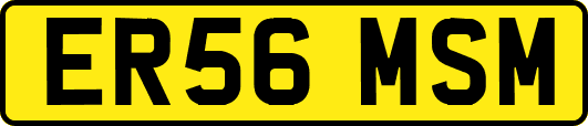 ER56MSM
