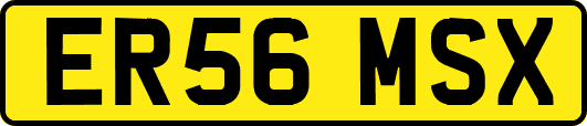 ER56MSX